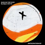 Bass On The Flow, Blaqq & Why\'d - Baby Got Back