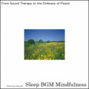 Sleep BGM Mindfulness - Soothing Rhythms of Inner Reflection (Original Mix)