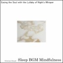 Sleep BGM Mindfulness - Embracing the Neural Whisper of Euphoria (Original Mix)