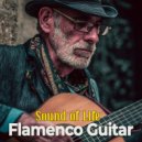 Lucas Tarrega.Guitar - Sound of Life (Original Mix)