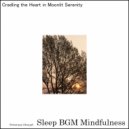 Sleep BGM Mindfulness - Healing through Sound Design and Neural Activation (Original Mix)