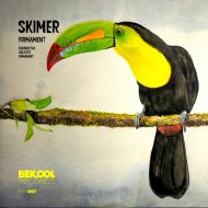 Skimer - Equinoctial