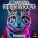 PULSEWAVE - Shake It Down