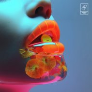 Prana Flow & KENSHO (ofc) - Fast Like Fever