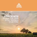 Soul Synth - While The Sun Still Shines For You