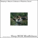 Sleep BGM Mindfulness - Neural Harmony with Sound Waves and Sleep Induction