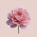 Aura Rosa - Calm Rose Light ()