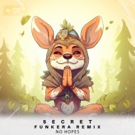 No Hopes - Secret