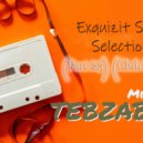 Tebzaboy - Exquizit Sound Selectionz (Par