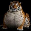 Dj Gray - Flat Fat ()