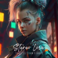 Terade, Harlid & DJ Venum - Stereo Love