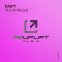 Paipy - The Miracle
