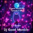 Dj Good Monich - Episode # 88 Rus Rhythm ( Organic House Mix ) ()