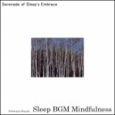 Sleep BGM Mindfulness - The Soft Lullaby of the Wind, Easing the Mind to Dreamland