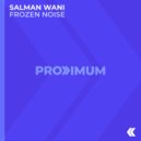 Salman Wani - Frozen Noise (Extended Mix)