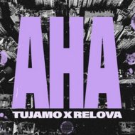 Tujamo & RELOVA - Aha
