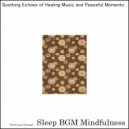 Sleep BGM Mindfulness - Subliminal Peace in Sound Healing and Meditation (Original Mix)