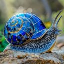 HALL HOGAN - BreakSnail ()