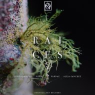 Dino Sabatini - Luz de Piedra