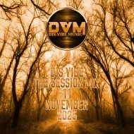 Djs Vibe - The Session Mix 11 (November 2025)