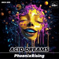 PhoenixRising - Acid Dreams