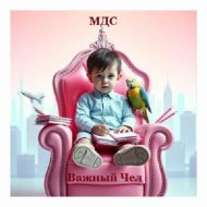 МДС - Важный Чел